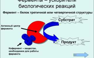 Биохимический анализ: о каких болезнях может рассказать кровь
